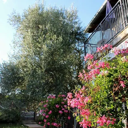 Turkovic Apartments Zgaljic Exterior photo