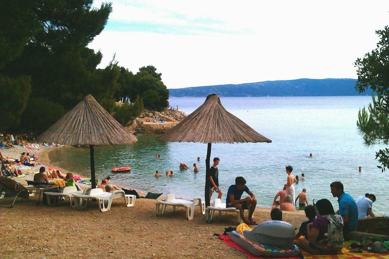 Apartment Turkovic *