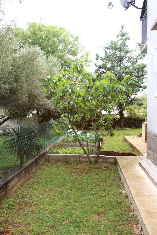 Turkovic Apartment *